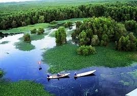 Discover ecotourism in Ba Vi - ảnh 1